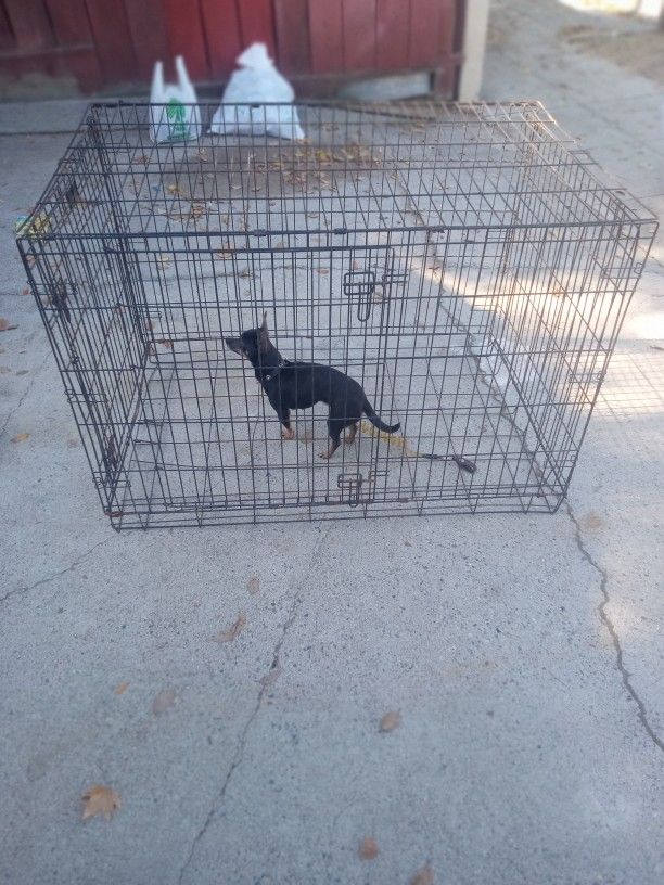 Collapsible Dog Kennel