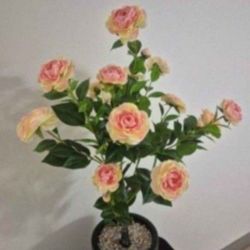 4ft Faux Champagne Camellia Topped with Pink/Translucent Stone in a 15in Resin Planter @ Lasting Creations