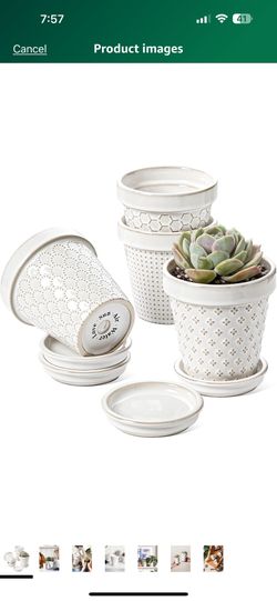 Succulent Pots, Cute Indoor Plant Pot with Saucer, 4 Inch Mini Ceramic Flower Pots with Drainage, for Plant Lover or Mothers Day,Housewarming, Decorat