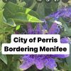 Lina O ( In The City Of Perris