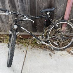 Access All Season Bike