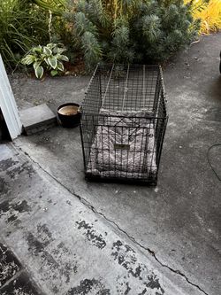 Dog Kennel 