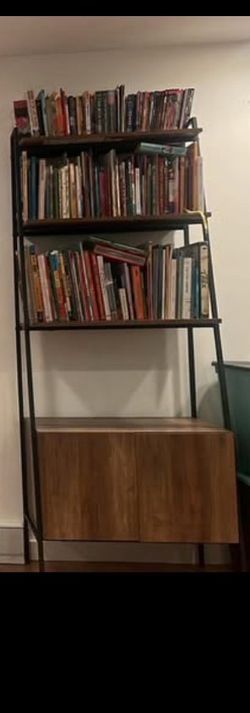 Bookshelf’s ladder bookshelf two of them