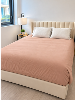 MOVING SALE – BEAUTIFUL QUEEN UPHOLSTERED BED – LIKE NEW – $350 OBO