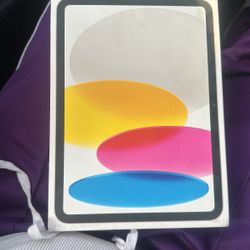 iPad 