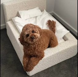 NEW Sherpa Teddy Dog Bed Luxury BedFrame with Pillow and Sham