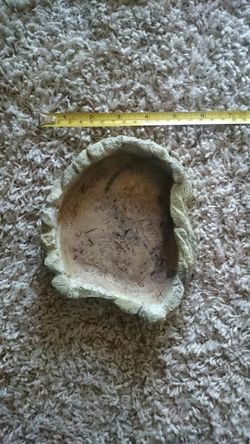 Reptile water bowl