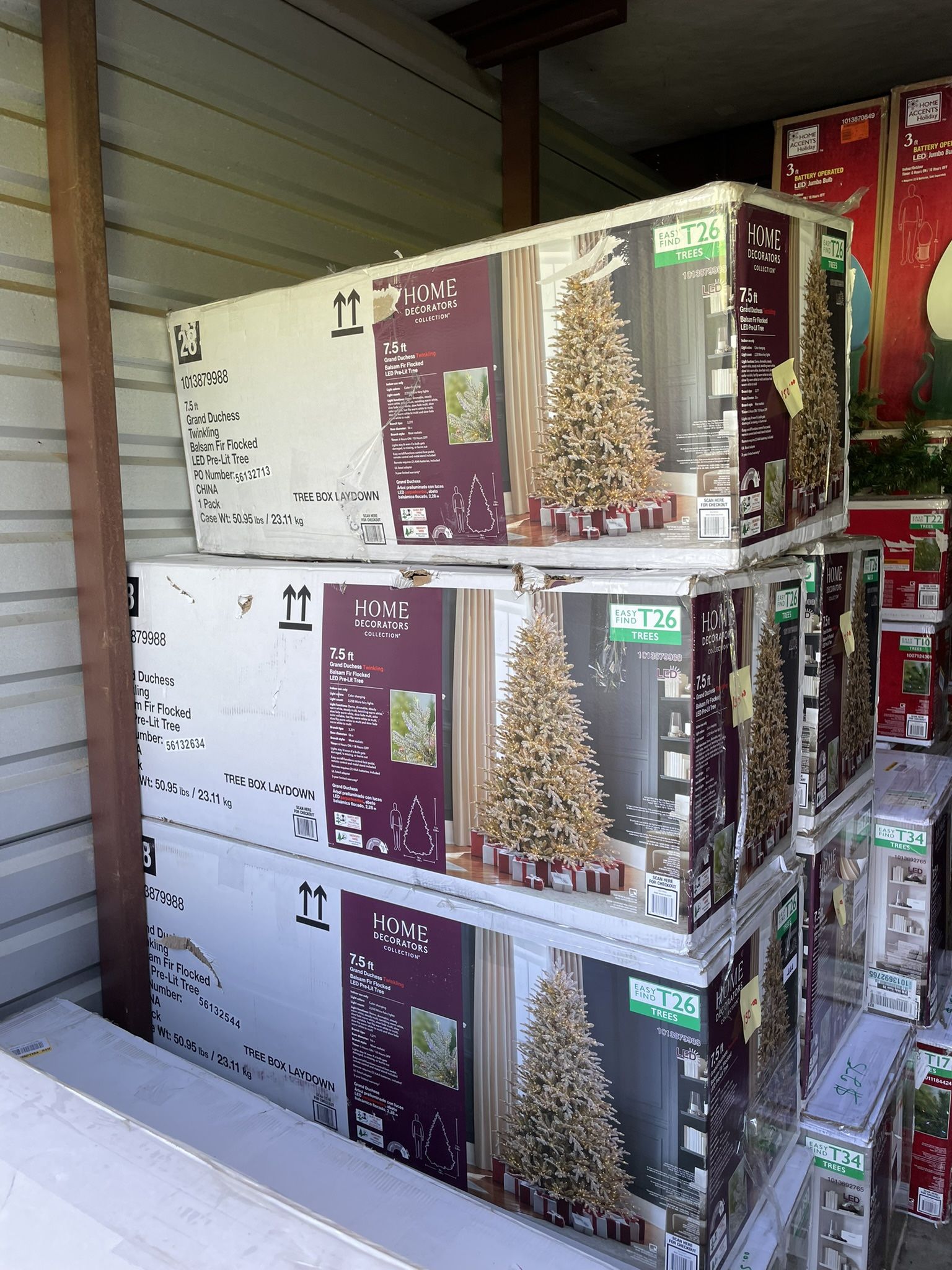 12ft 9ft 7.5ft Grand Duchess New Shipment In