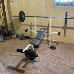 Weight Bench