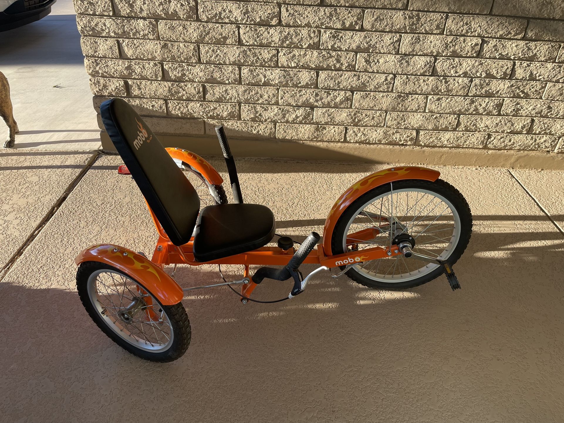 Mobi Bicycle 