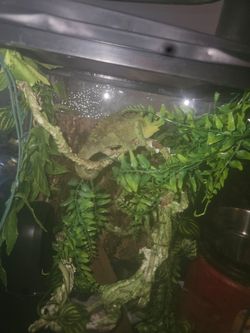 3 tanks for sale everything included