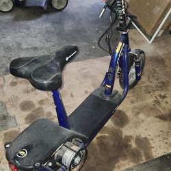 Electric Scooter 