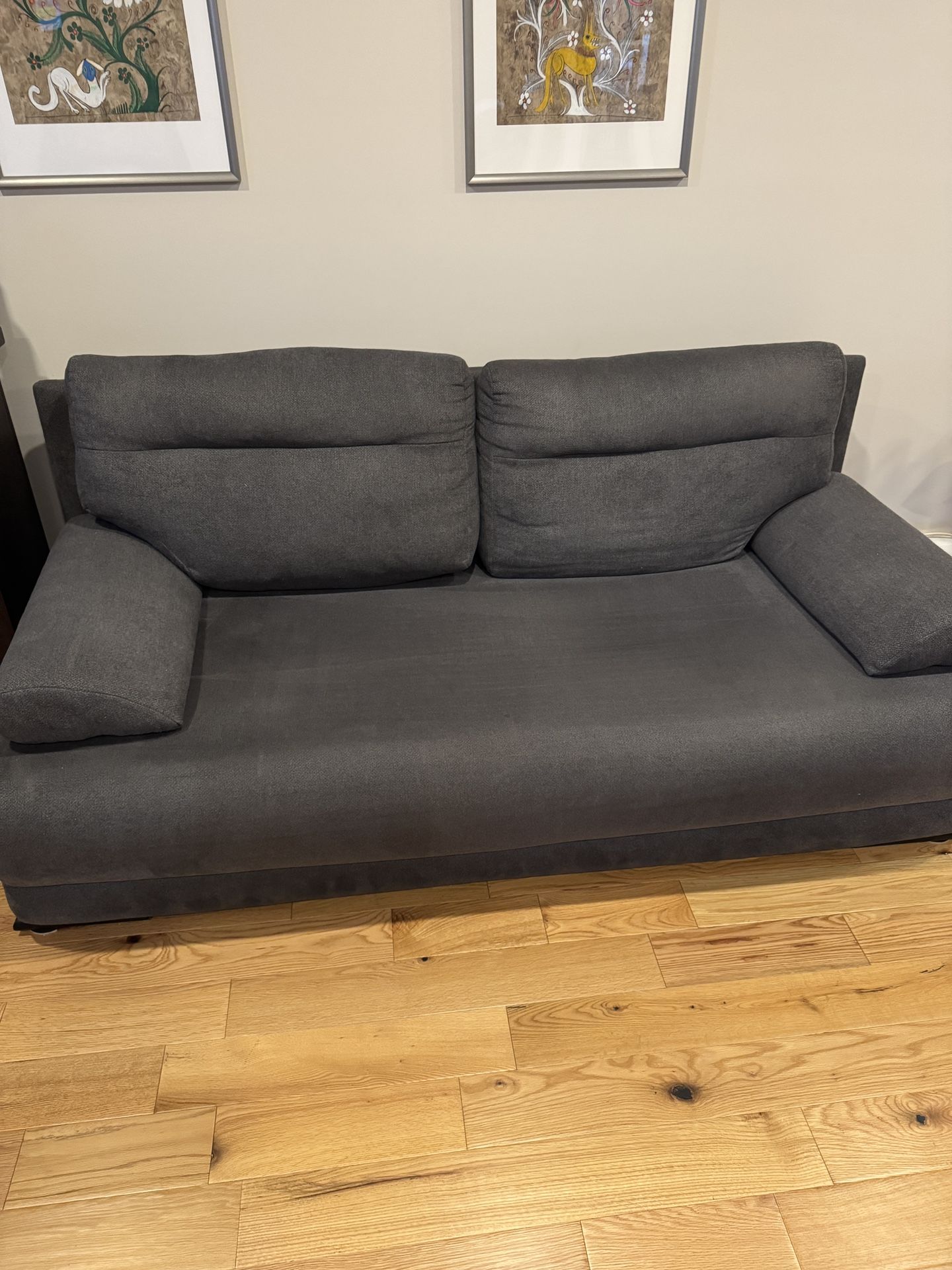 Sofa With Sleeping Option 