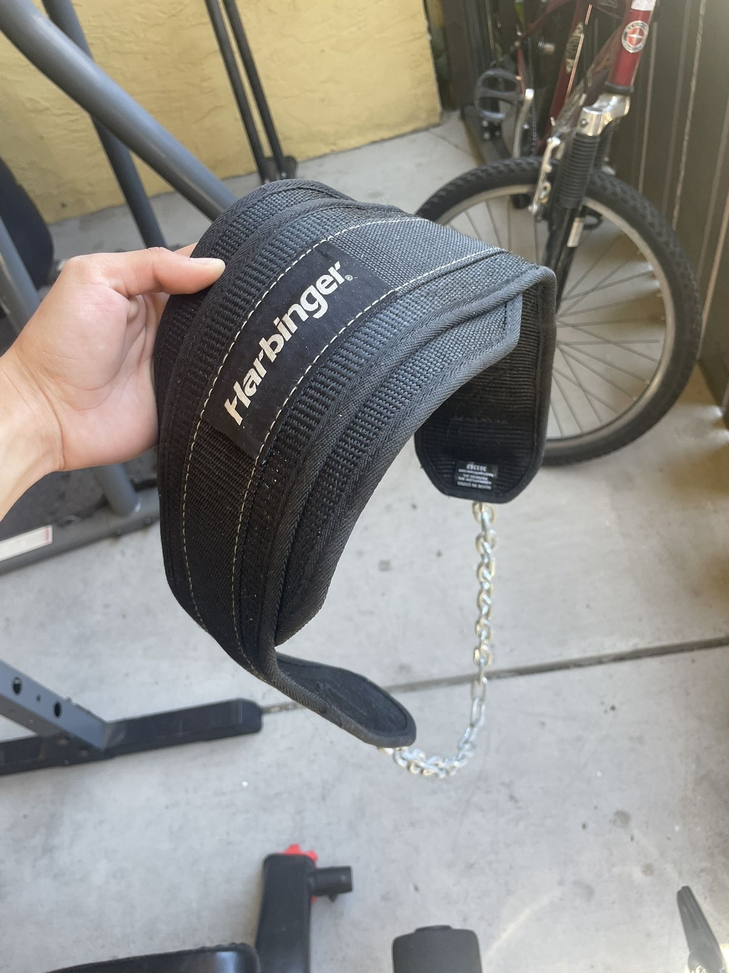 Pull Up Belt 