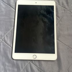 I Pad Mini