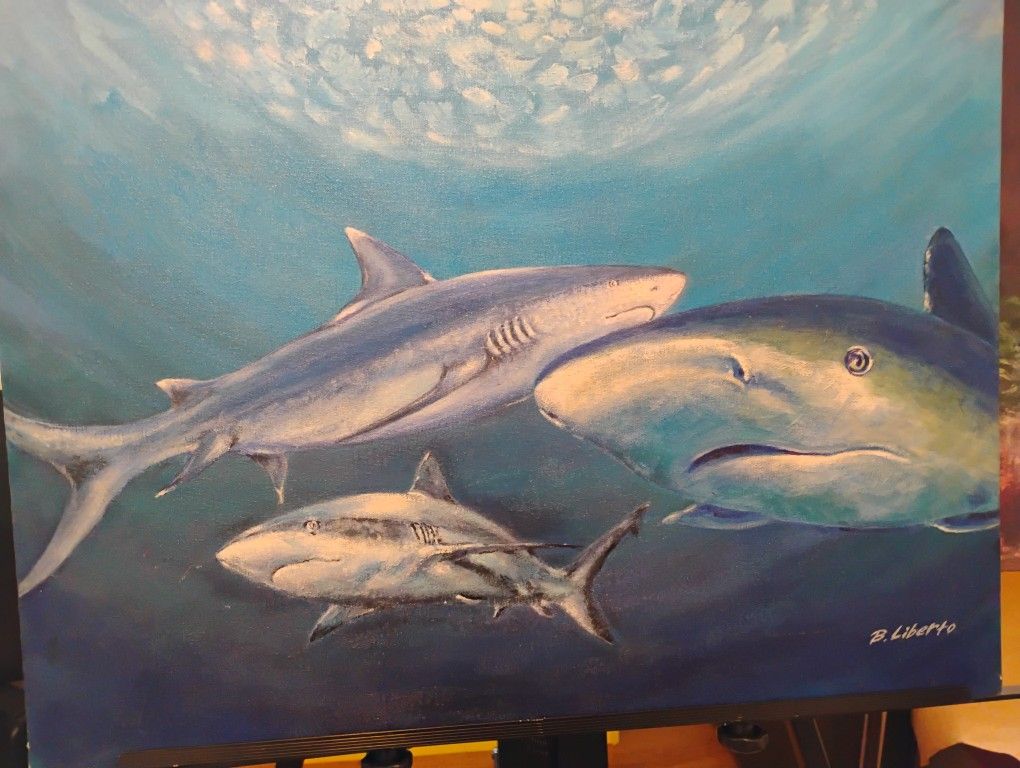Bull Sharks