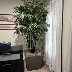 8ft Tall Artificial Bamboo Plant W/Base - Stunning & Low Maintenance!