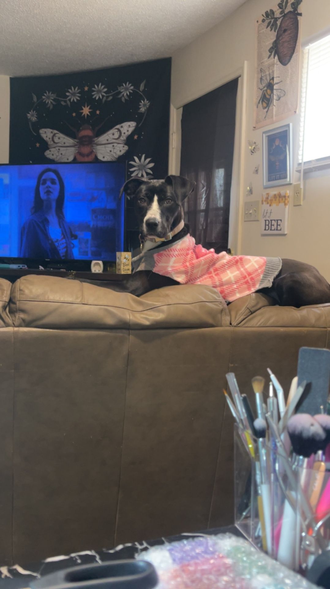 Lab Mixed 