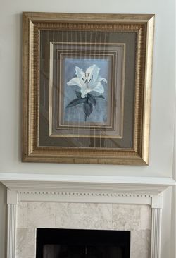 LARGE Beautiful Flower Framed Print