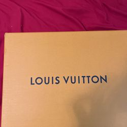 Louis Vuitton Trainers 