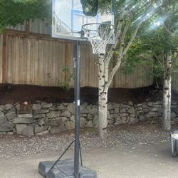 Basketball Hoop