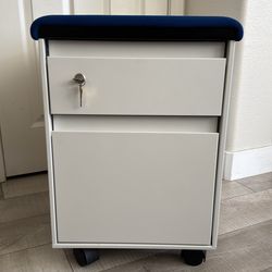 Rolling Storage Cabinet with Cushion Top