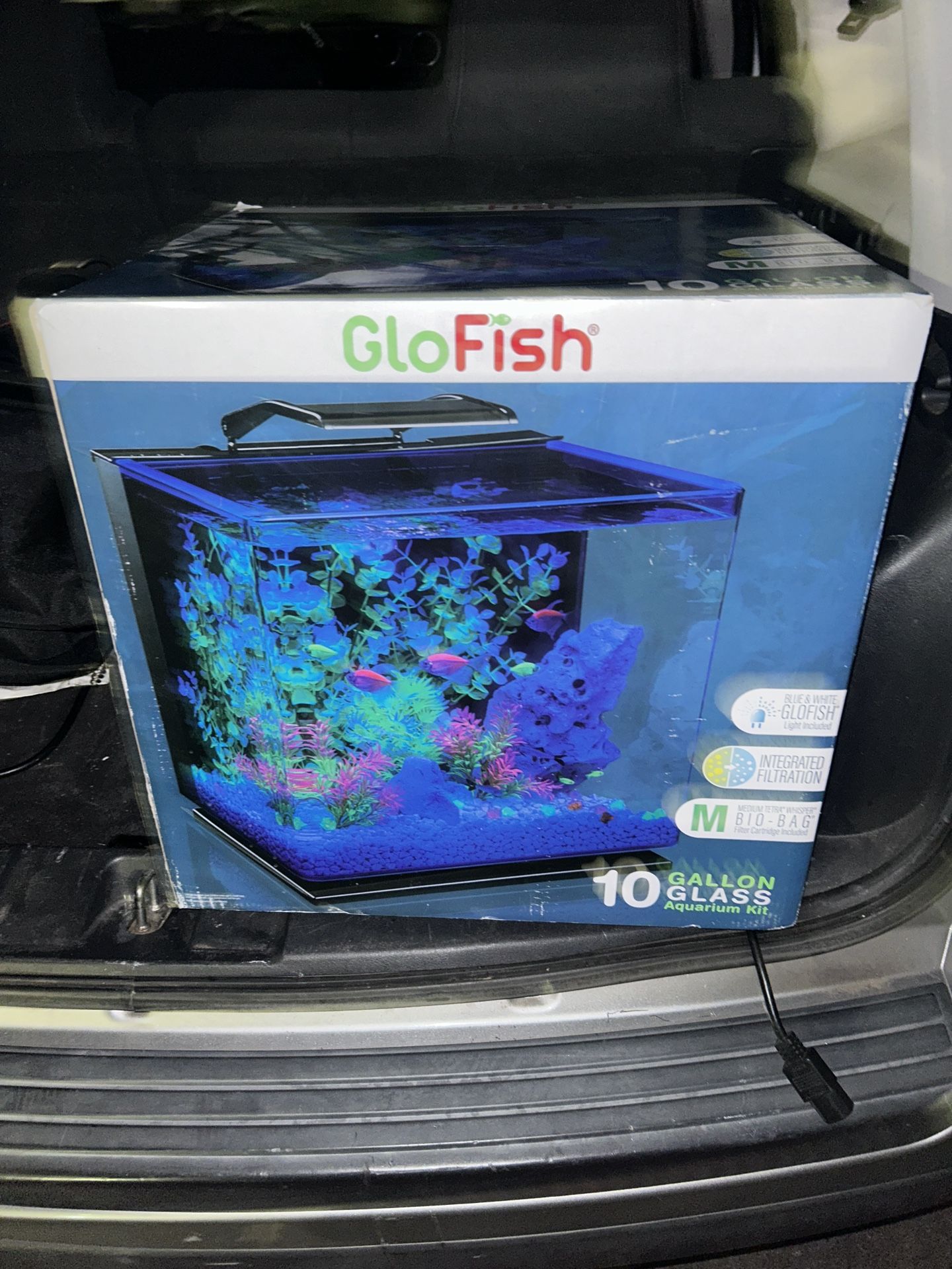 Fish Tank