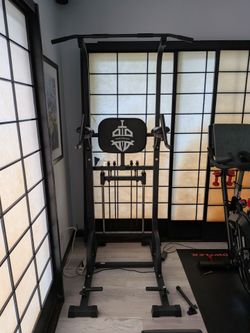 Assisted pull up and dip machine