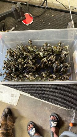 Warhammer Chaos  KNights