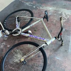 Skream Fixie Bike 