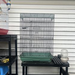Bird Cage
