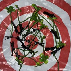 Four-leaf Clover Hair Sprout 