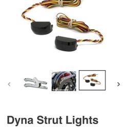 Alloy Art Dyna Strut Lights