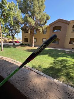 Vanilla Gorilla Softball Bat