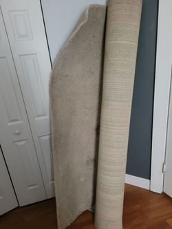 Two FREE large carpets