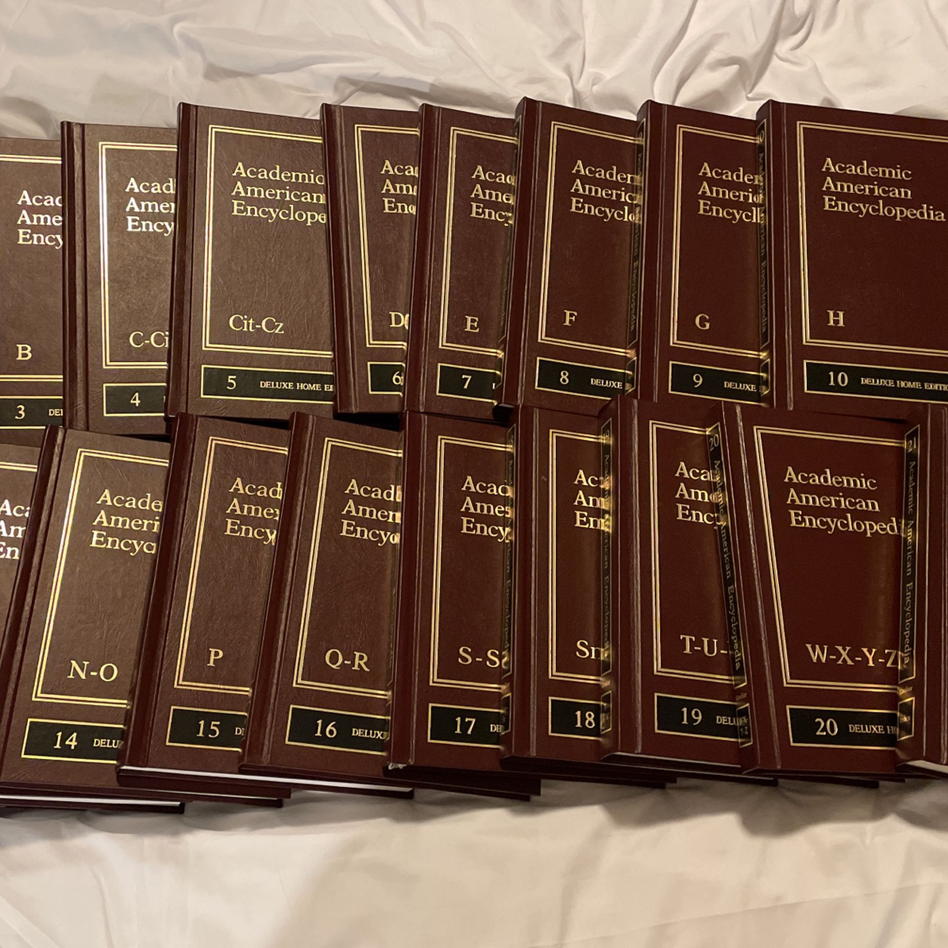 Complete Academic American Encyclopedia 1991 Edition for Sale in