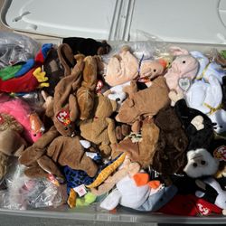 Beanie Babies