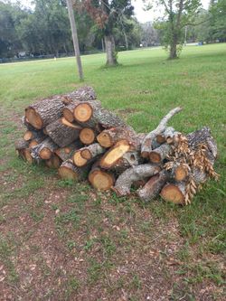 Free Wood