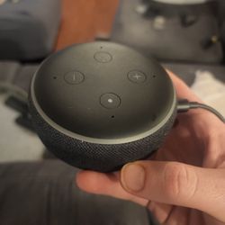 Echo Dot 