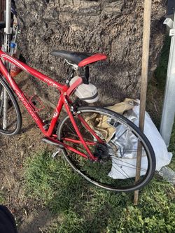 Giant Road Bike
