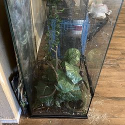 Large Reptile Enclosure With Stand 