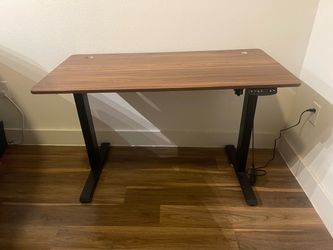 Electric Standing Desk with Walnut Top