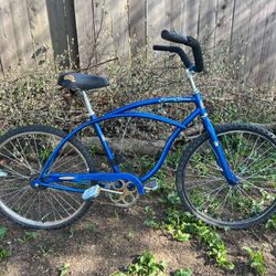 Earth Cruiser Bike