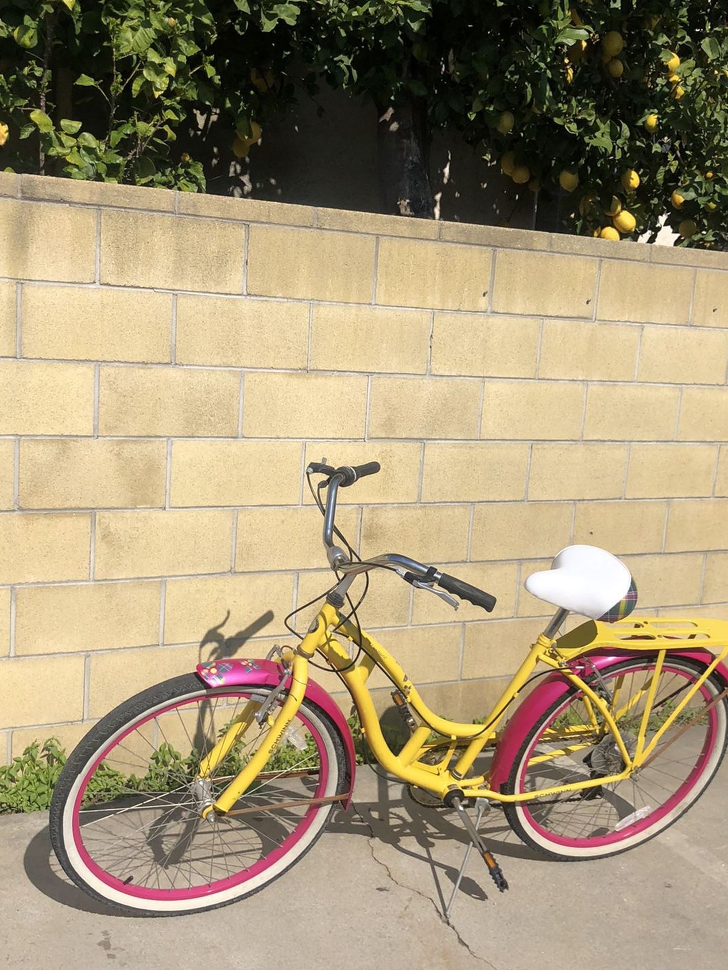 Antique Schwinn Clairmont Women's Bicycle