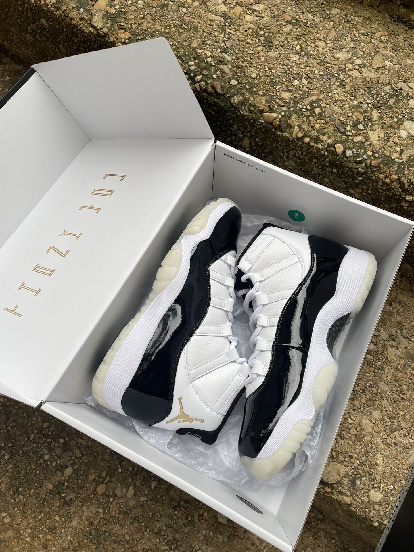 DMPz 11s jordans