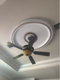 Ceiling fan with light