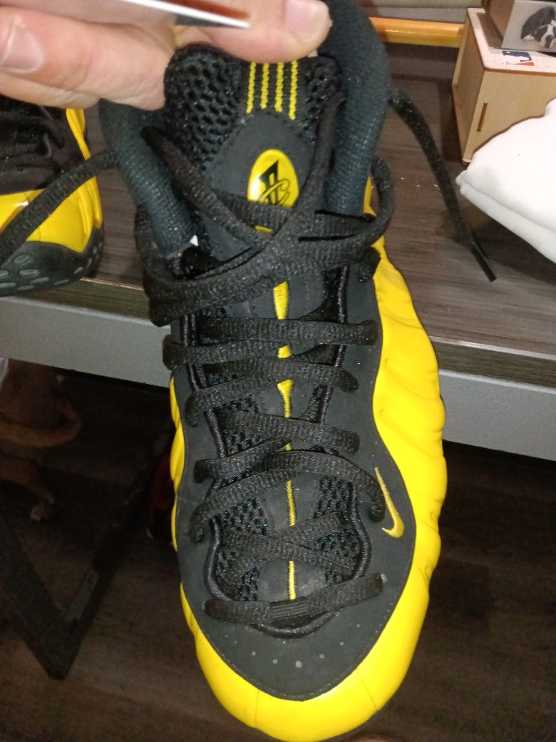 Nike Penny Hardaway Wolverine Composite Shoes