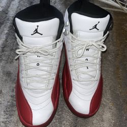 Men Size 8.5 Jordan 12s 