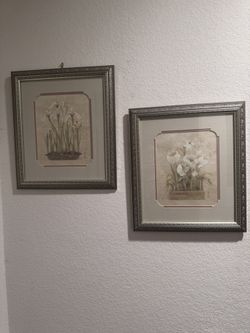 Portraits 