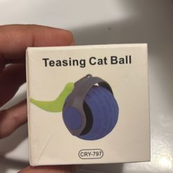 Teasing Cat Ball